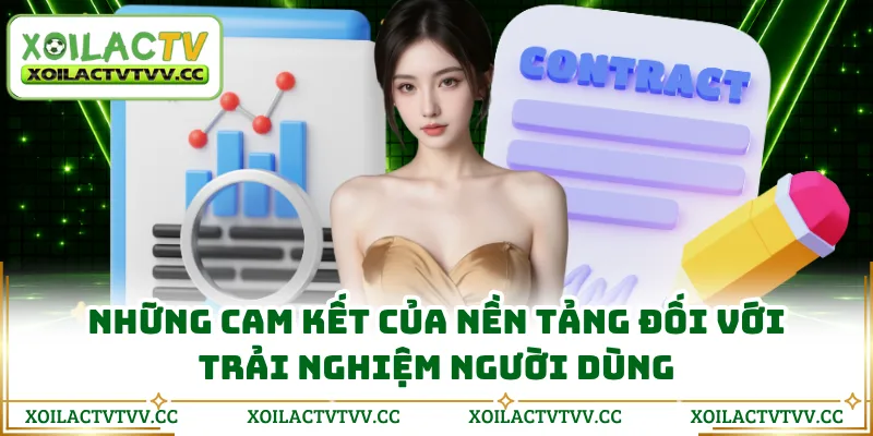 Những cam kết của nền tảng đối với trải nghiệm người dùng