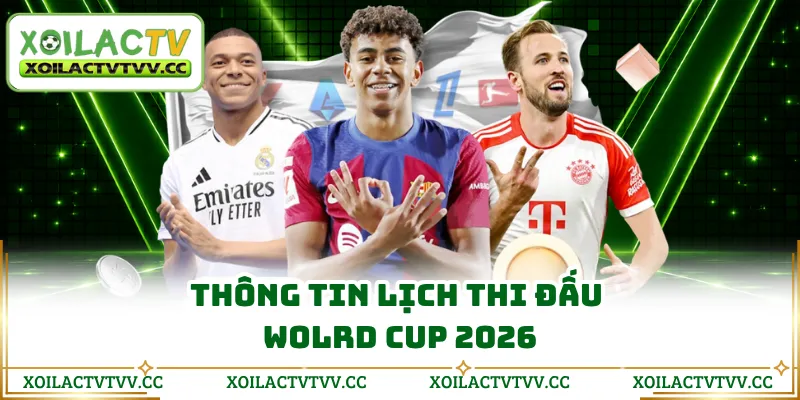 Thông tin lịch thi đấu Wolrd Cup 2026