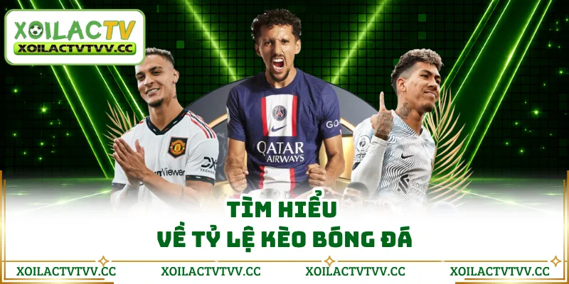 Tìm hiểu về tỷ lệ kèo bóng đá